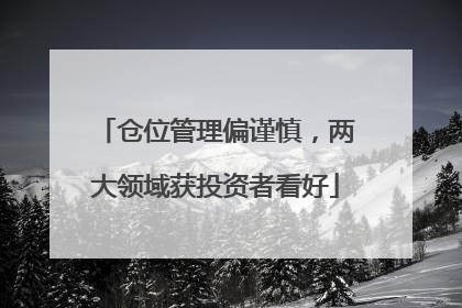 仓位管理偏谨慎，两大领域获投资者看好