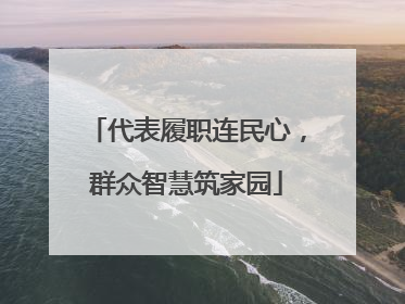代表履职连民心，群众智慧筑家园