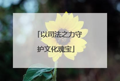 以司法之力守护文化瑰宝