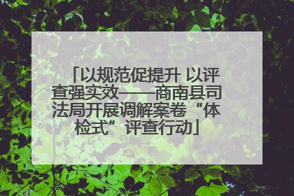 以规范促提升 以评查强实效——商南县司法局开展调解案卷“体检式”评查行动