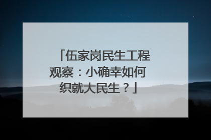 伍家岗民生工程观察：小确幸如何织就大民生？