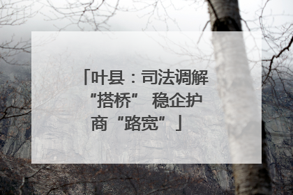 叶县：司法调解“搭桥” 稳企护商“路宽”