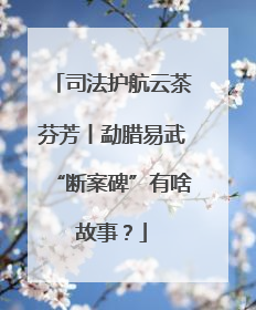 司法护航云茶芬芳丨勐腊易武“断案碑”有啥故事？