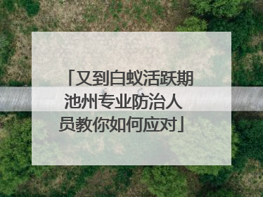 又到白蚁活跃期 池州专业防治人员教你如何应对