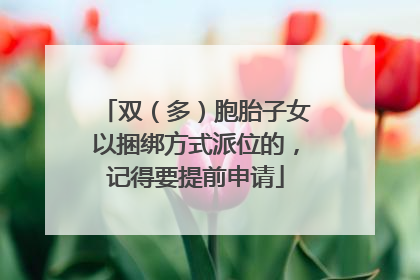 双（多）胞胎子女以捆绑方式派位的，记得要提前申请