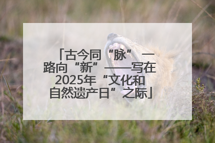 古今同“脉” 一路向“新”——写在2025年“文化和自然遗产日”之际