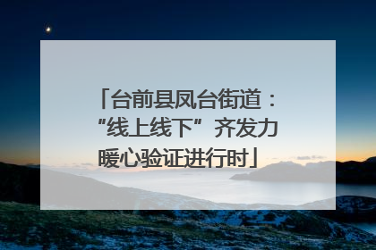 台前县凤台街道：“线上线下”齐发力 暖心验证进行时