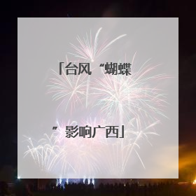 台风“蝴蝶”影响广西