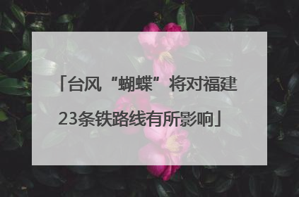 台风“蝴蝶”将对福建23条铁路线有所影响