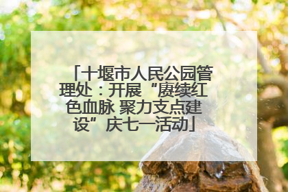 十堰市人民公园管理处：开展“赓续红色血脉 聚力支点建设”庆七一活动