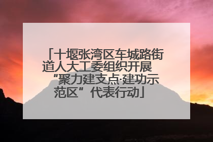 十堰张湾区车城路街道人大工委组织开展 “聚力建支点·建功示范区”代表行动