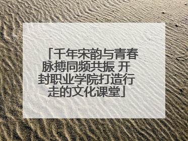 千年宋韵与青春脉搏同频共振 开封职业学院打造行走的文化课堂