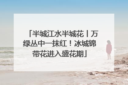 半城江水半城花丨万绿丛中一抹红！冰城锦带花进入盛花期