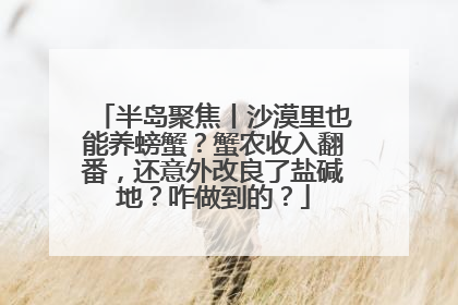 半岛聚焦丨沙漠里也能养螃蟹？蟹农收入翻番，还意外改良了盐碱地？咋做到的？