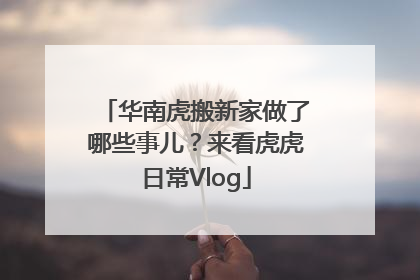华南虎搬新家做了哪些事儿？来看虎虎日常Vlog