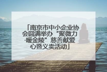 南京市中小企业协会圆满举办“聚微力·暖金陵”慈善献爱心暨义卖活动