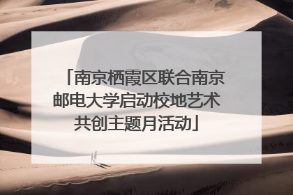 南京栖霞区联合南京邮电大学启动校地艺术共创主题月活动