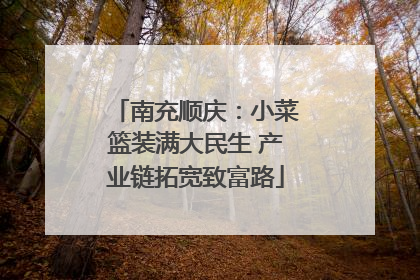 南充顺庆：小菜篮装满大民生 产业链拓宽致富路