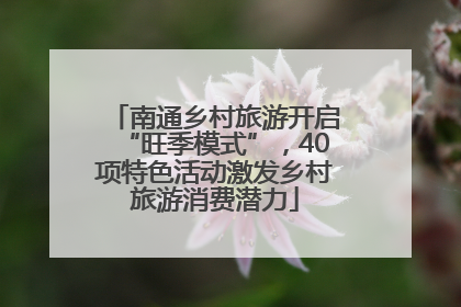 南通乡村旅游开启“旺季模式”，40项特色活动激发乡村旅游消费潜力