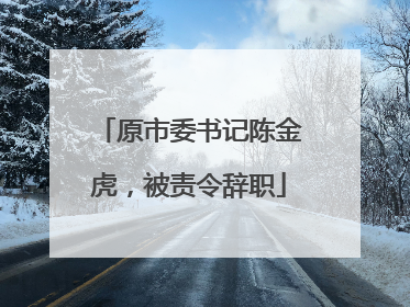 原市委书记陈金虎,被责令辞职