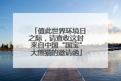 值此世界环境日之际，请查收这封来自中国“国宝”大熊猫的邀请函