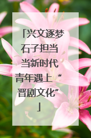 兴文逐梦 石子担当 当新时代青年遇上“晋剧文化”