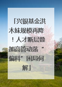 兴银基金洪木妹规模再降！人才断层叠加高管动荡“偏科”困局何解