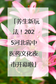 养生新玩法！2025河北省中医药文化夜市开幕啦