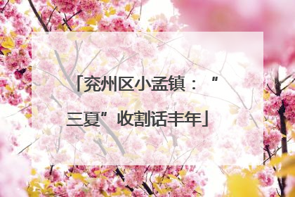 兖州区小孟镇：“三夏”收割话丰年