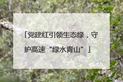 党建红引领生态绿，守护高速“绿水青山”