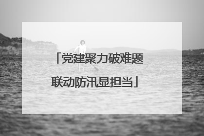 党建聚力破难题 联动防汛显担当