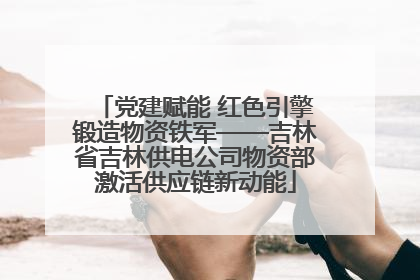 党建赋能 红色引擎锻造物资铁军——吉林省吉林供电公司物资部激活供应链新动能