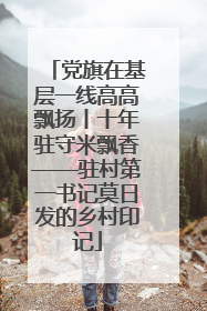 党旗在基层一线高高飘扬丨十年驻守米飘香——驻村第一书记莫日发的乡村印记