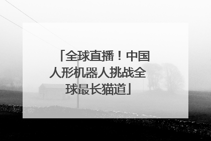 全球直播！中国人形机器人挑战全球最长猫道