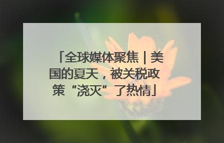 全球媒体聚焦｜美国的夏天，被关税政策“浇灭”了热情