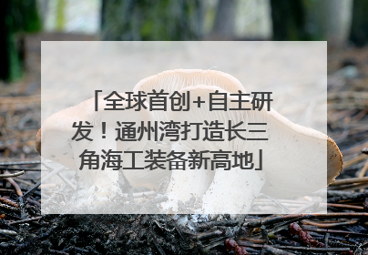 全球首创+自主研发！通州湾打造长三角海工装备新高地