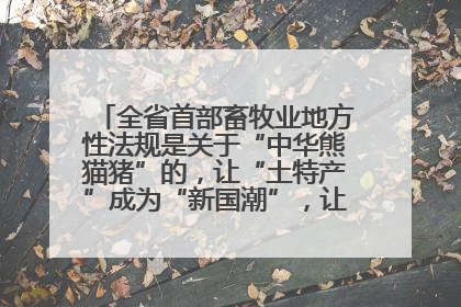 全省首部畜牧业地方性法规是关于“中华熊猫猪”的,让“土特产”成为“新国潮”,让“农产品”升格为“城市IP”