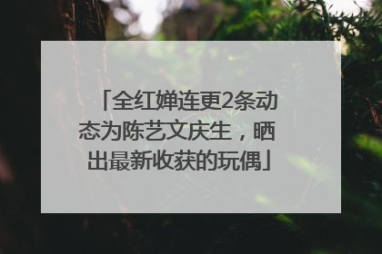 全红婵连更2条动态为陈艺文庆生，晒出最新收获的玩偶