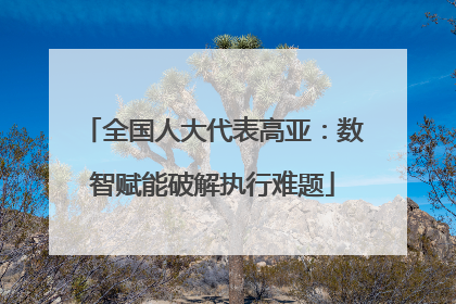全国人大代表高亚：数智赋能破解执行难题