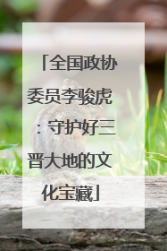 全国政协委员李骏虎：守护好三晋大地的文化宝藏