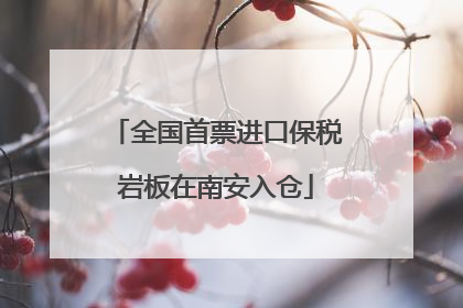 全国首票进口保税岩板在南安入仓