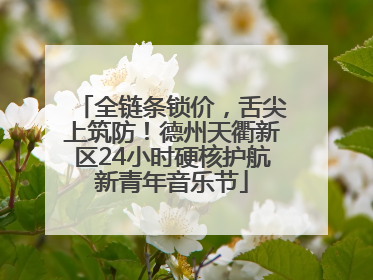 全链条锁价，舌尖上筑防！德州天衢新区24小时硬核护航新青年音乐节