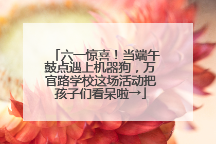 六一惊喜！当端午鼓点遇上机器狗，万官路学校这场活动把孩子们看呆啦→