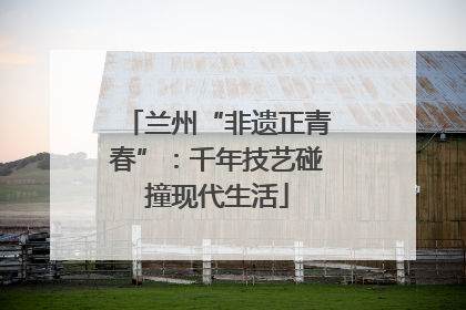 兰州“非遗正青春”：千年技艺碰撞现代生活