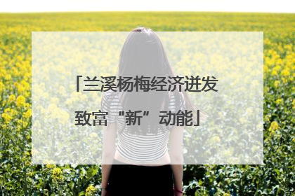兰溪杨梅经济迸发致富“新”动能