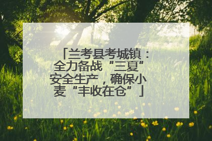兰考县考城镇：全力备战“三夏”安全生产，确保小麦“丰收在仓”