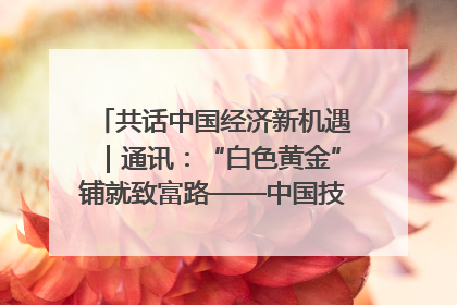 共话中国经济新机遇｜通讯：“白色黄金”铺就致富路——中国技术助力科特迪瓦橡胶产业增产增效