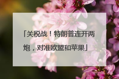 关税战！特朗普连开两炮，对准欧盟和苹果