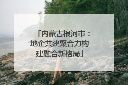 内蒙古根河市：地企共建聚合力构建融合新格局