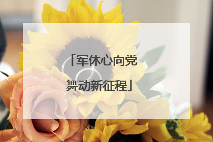 军休心向党 舞动新征程